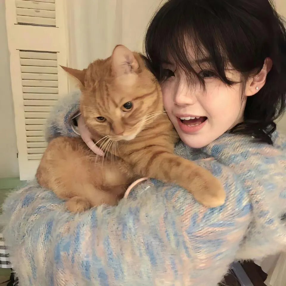 高歌猛进