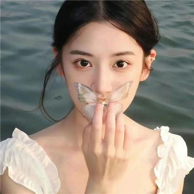 禅在此山中